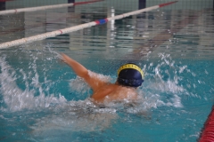 18.05.2011-Campionati-Regionali-Nuoto-Fisdir-66