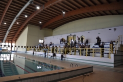 18.05.2011-Campionati-Regionali-Nuoto-Fisdir-8