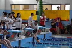 Campionati-Regionali-Nuoto-Aprile-2010-47