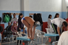 Campionati-Regionali-Nuoto-Aprile-2010-71