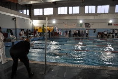 Campionati-Regionali-Nuoto-Aprile-2010-73