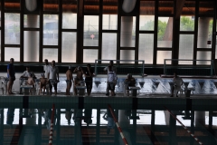 04.05.2014-Campionato-Nuoto-Fisdir-2014-17