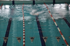 04.05.2014-Campionato-Nuoto-Fisdir-2014-21