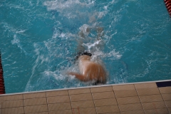 04.05.2014-Campionato-Nuoto-Fisdir-2014-26