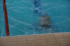 04.05.2014-Campionato-Nuoto-Fisdir-2014-30