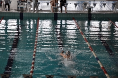 04.05.2014-Campionato-Nuoto-Fisdir-2014-35