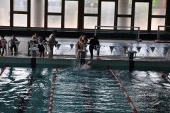 04.05.2014-Campionato-Nuoto-Fisdir-2014-41