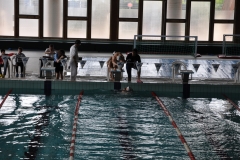 04.05.2014-Campionato-Nuoto-Fisdir-2014-43