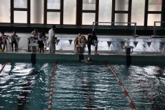 04.05.2014-Campionato-Nuoto-Fisdir-2014-44