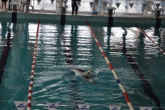 04.05.2014-Campionato-Nuoto-Fisdir-2014-53