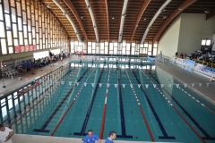 04.05.2014-Campionato-Nuoto-Fisdir-2014-6