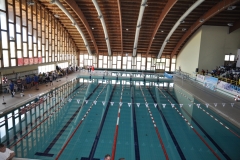 04.05.2014-Campionato-Nuoto-Fisdir-2014-7