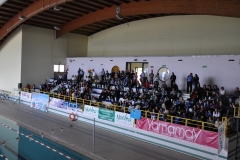 04.05.2014-Campionato-Nuoto-Fisdir-2014-8