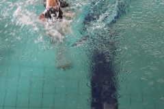 MARZO-2012-Nuoto-Fisdir-89