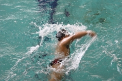 MARZO-2012-Nuoto-Fisdir-91